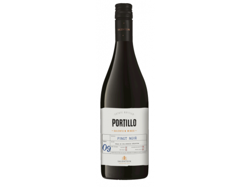Doos 6 flessen Portillo / Pinot Noir