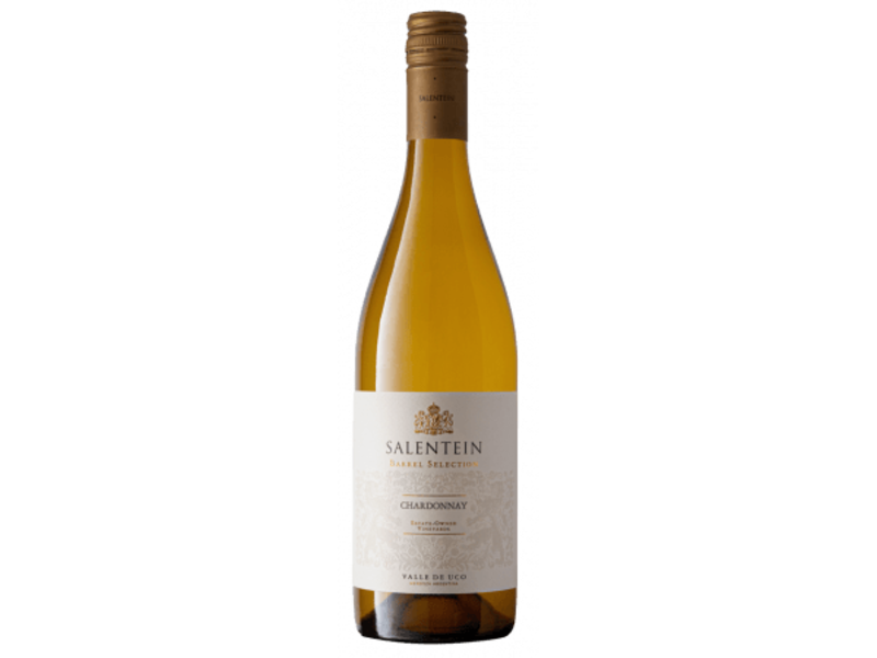 Doos 3 flessen Salentein BS / Chardonnay