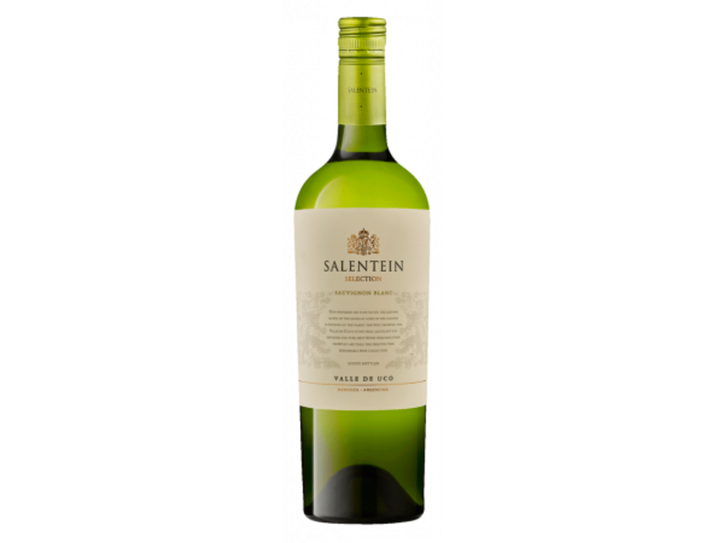 Doos 3 flessen Salentein Selection / Sauvignon Blanc