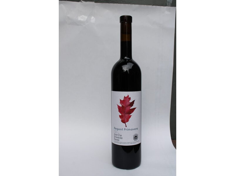 Aan de Breede beek / Regent Primavera