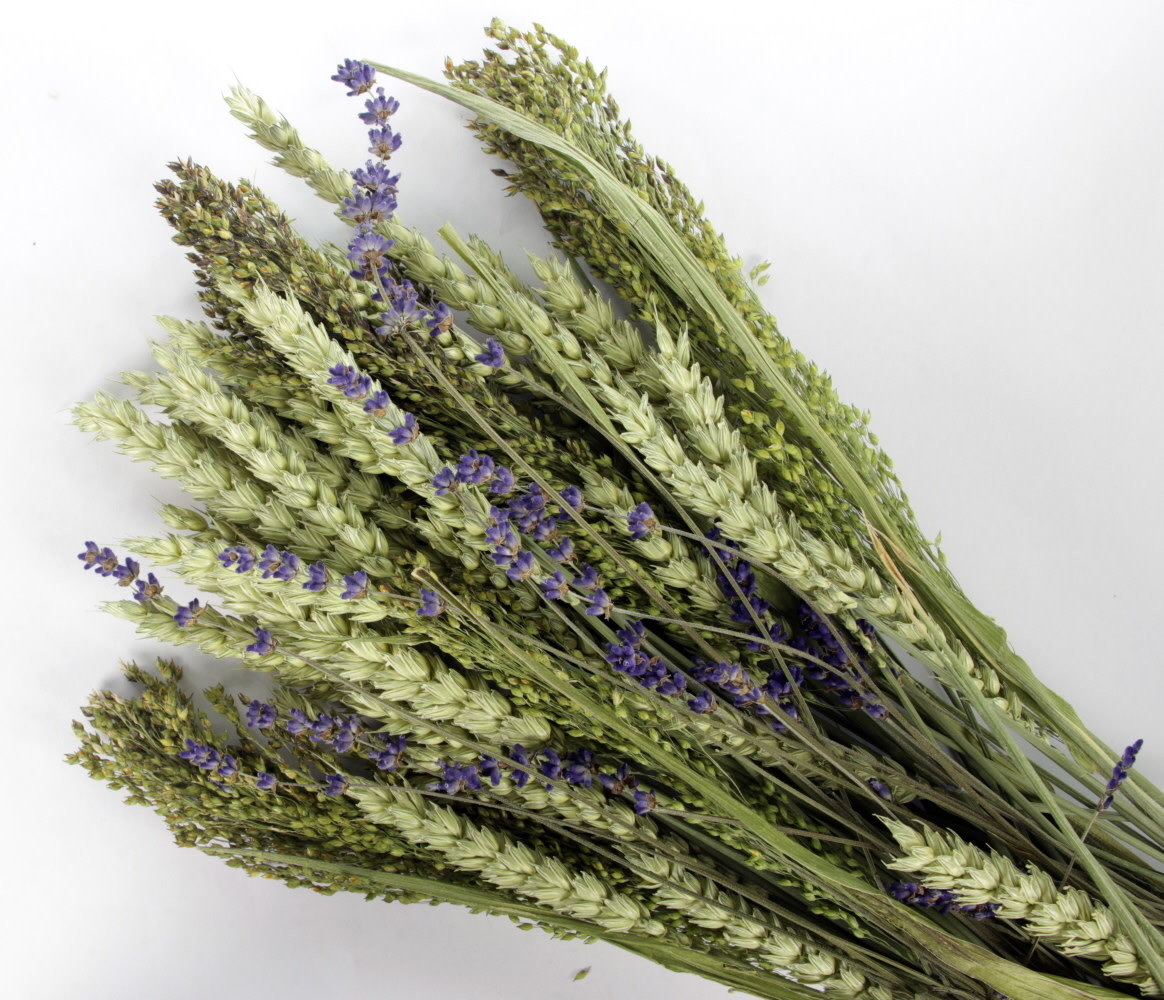 ESVE ESVE Pet Bouquet Koker ESVE ESVE Pet Bouquet Koker