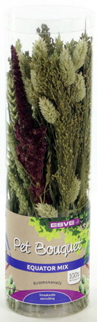 ESVE ESVE Pet Bouquet Koker ESVE ESVE Pet Bouquet Koker