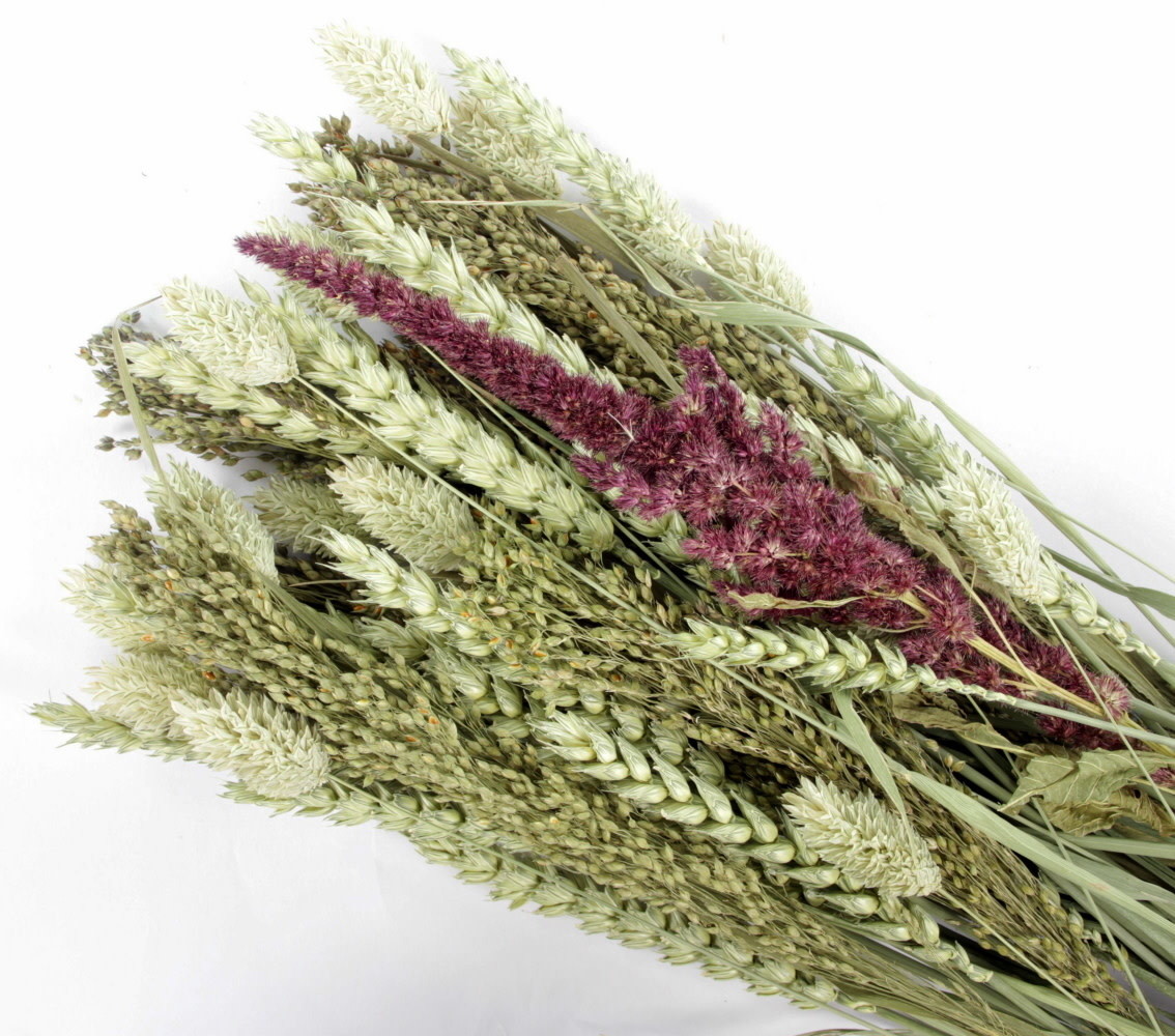 ESVE ESVE Pet Bouquet Koker ESVE ESVE Pet Bouquet Koker