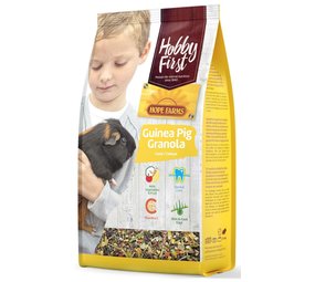 HobbyFirst HobbyFirst Hope Farms Guinea Pig - Granola HobbyFirst HobbyFirst Hope Farms Guinea Pig - Granola