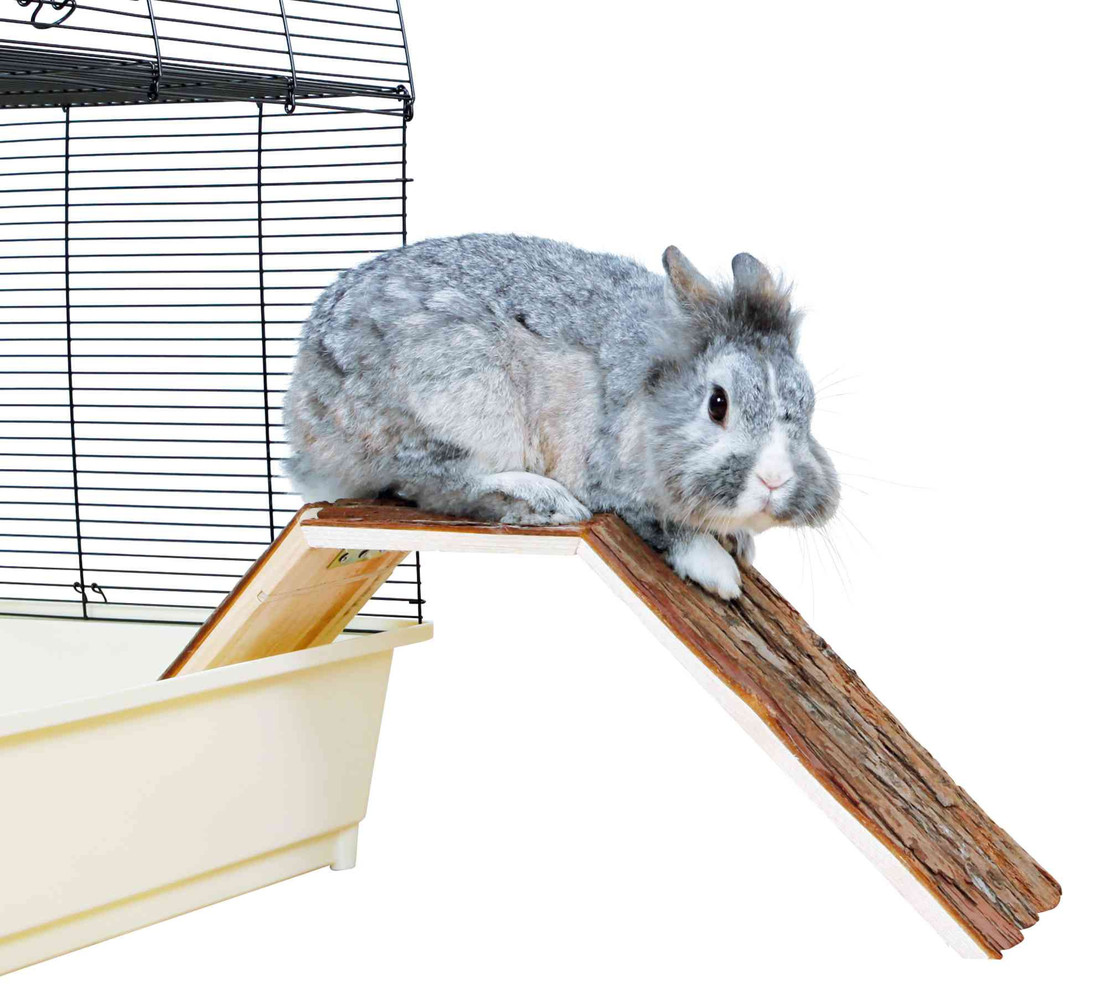 Trixie Trixie Houten Brug Schorshout - 63x18x15 cm Trixie Trixie Houten Brug Schorshout - 63x18x15 cm