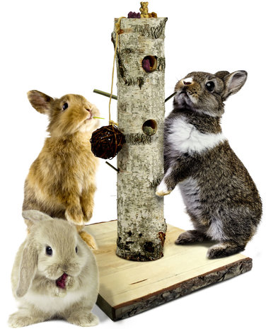 JR Farm JR Farm Back to Instinct voerboom - 38x38x58 cm JR Farm JR Farm Back to Instinct voerboom - 38x38x58 cm