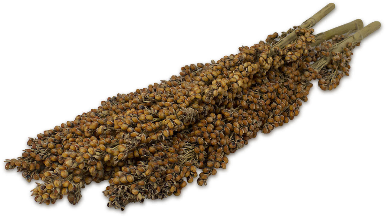 JR Farm JR Farm Dari Kolf - 100 gram JR Farm JR Farm Dari Kolf - 100 gram