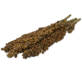 JR Farm JR Farm Dari Kolf - 100 gram JR Farm JR Farm Dari Kolf - 100 gram