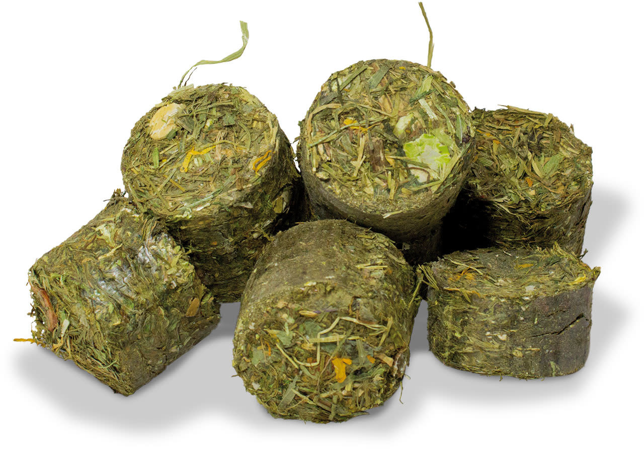 JR Farm JR Farm Grainless One Cavia - 950 gram