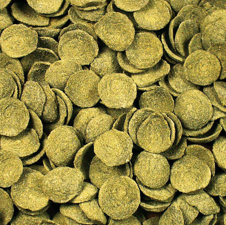 JR Farm JR Farm Klaverzaadmuntjes - 200 gram JR Farm JR Farm Klaverzaadmuntjes - 200 gram