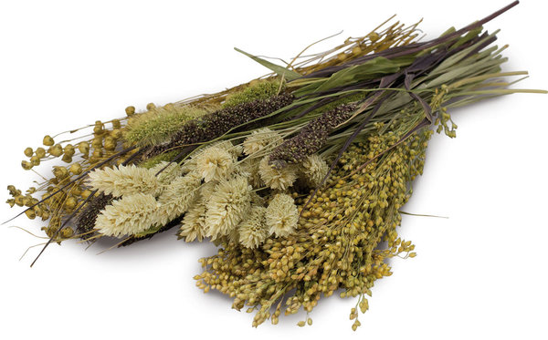 JR Farm JR Farm Knabbel Potpourri - 50 gram JR Farm JR Farm Knabbel Potpourri - 50 gram