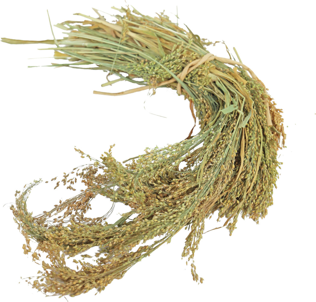 JR Farm JR Farm Parel Gierst - 100 gram