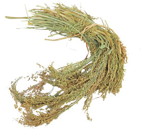 JR Farm JR Farm Parel Gierst - 100 gram