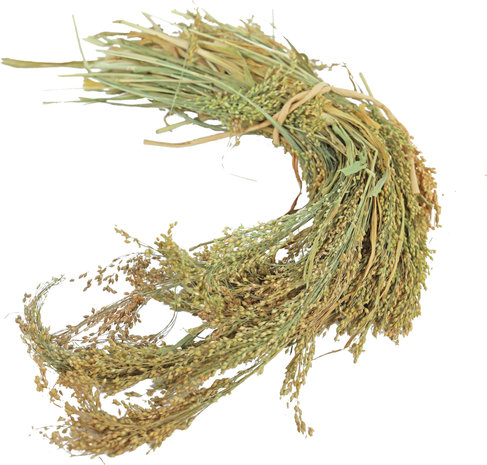 JR Farm JR Farm Parel Gierst - 100 gram