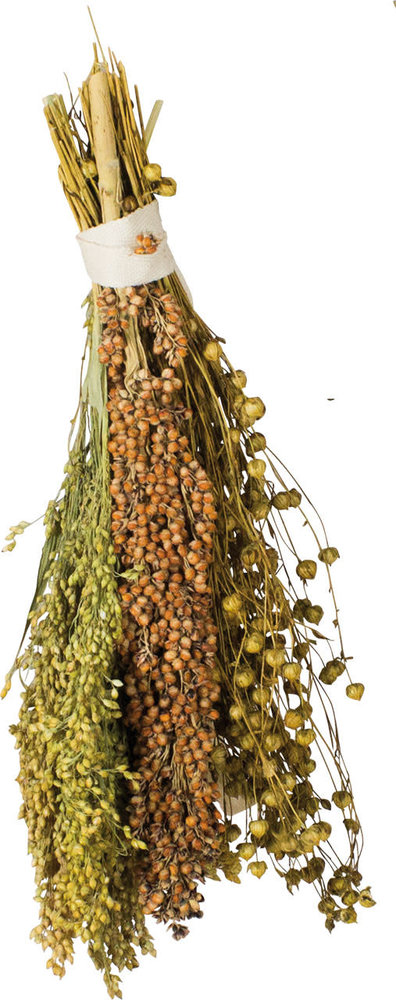 JR Farm JR Farm Pick en Fly - 130 gram