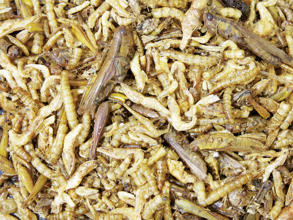 JR Farm JR Farm Proteïne Cocktail JR Farm JR Farm Proteïne Cocktail