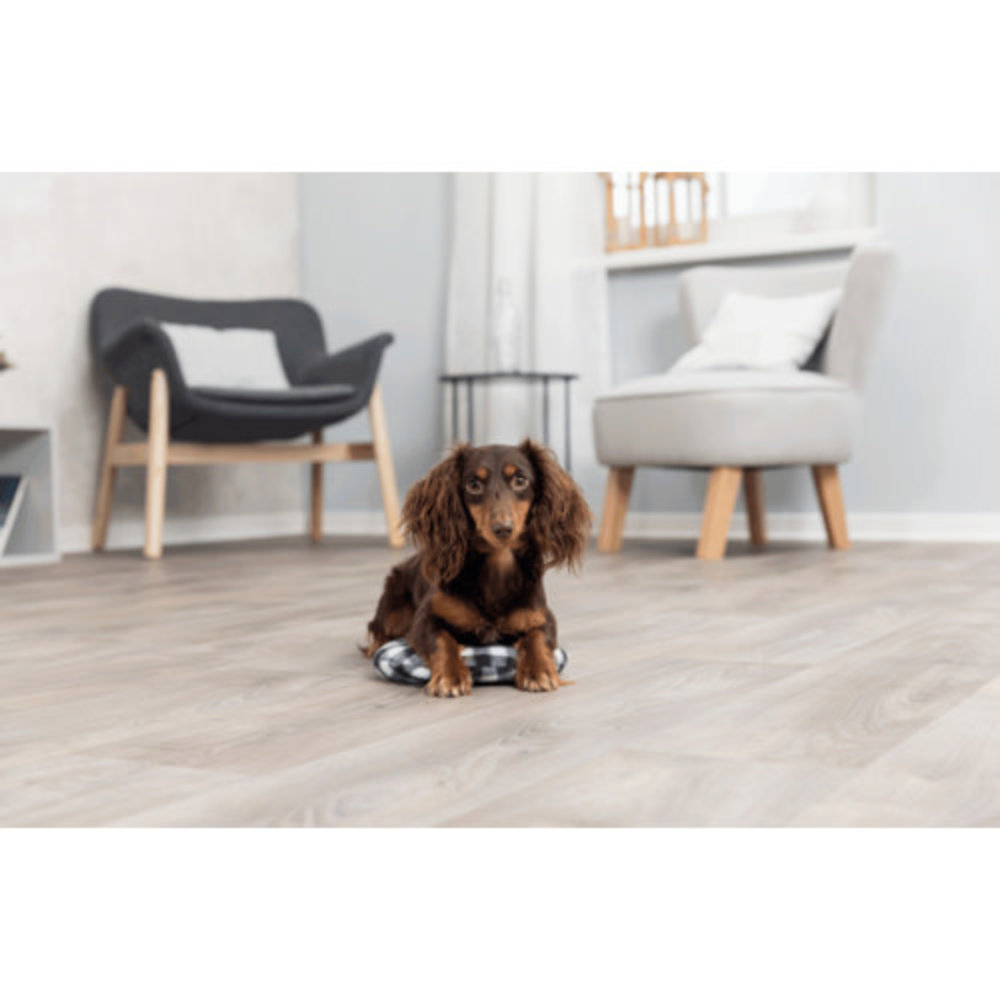 Trixie Trixie warmteschijf - Warmtekussen voor magnetron - 26 cm Trixie Trixie warmteschijf - Warmtekussen voor magnetron - 26 cm