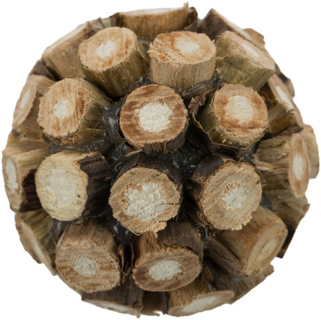 Trixie Trixie Matatabi Bal - 4 cm Trixie Trixie Matatabi Bal - 4 cm