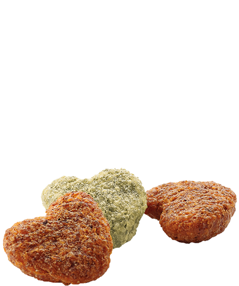 Versele-Laga Versele-Laga Complete Rat en Mouse - 500 gram Versele-Laga Versele-Laga Complete Rat en Mouse - 500 gram