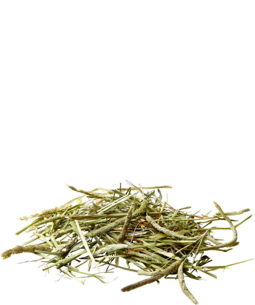 Versele-Laga Versele-Laga Nature Timothy Hay - 1 kilo Versele-Laga Versele-Laga Nature Timothy Hay - 1 kilo
