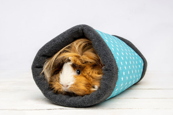 Bunny Nature Bunny Nature Fleecy tunnel - Turquoise - 31 x 24 cm Bunny Nature Bunny Nature Fleecy tunnel - Turquoise - 31 x 24 cm