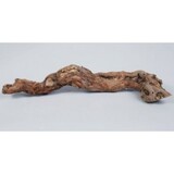 Druivenrank - boomstronk - 25-45 cm Druivenrank - boomstronk - 25-45 cm