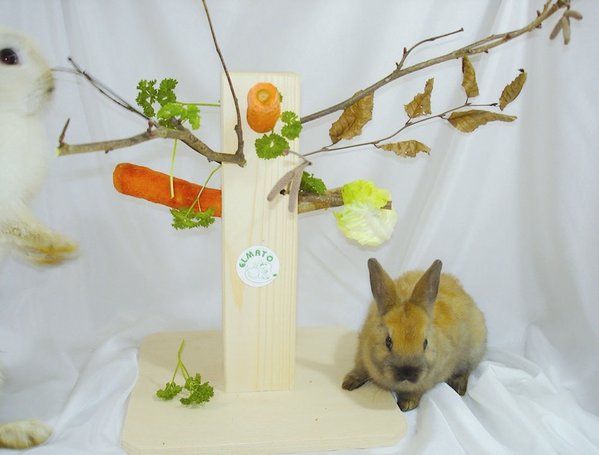 Elmato Elmato Voerboom Rübli - 31 cm Elmato Elmato Voerboom Rübli - 31 cm