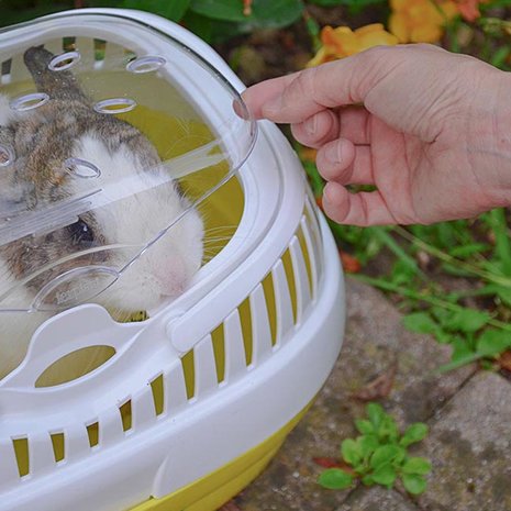 Ferplast Ferplast Vervoersbox Aladino Ferplast Ferplast Vervoersbox Aladino