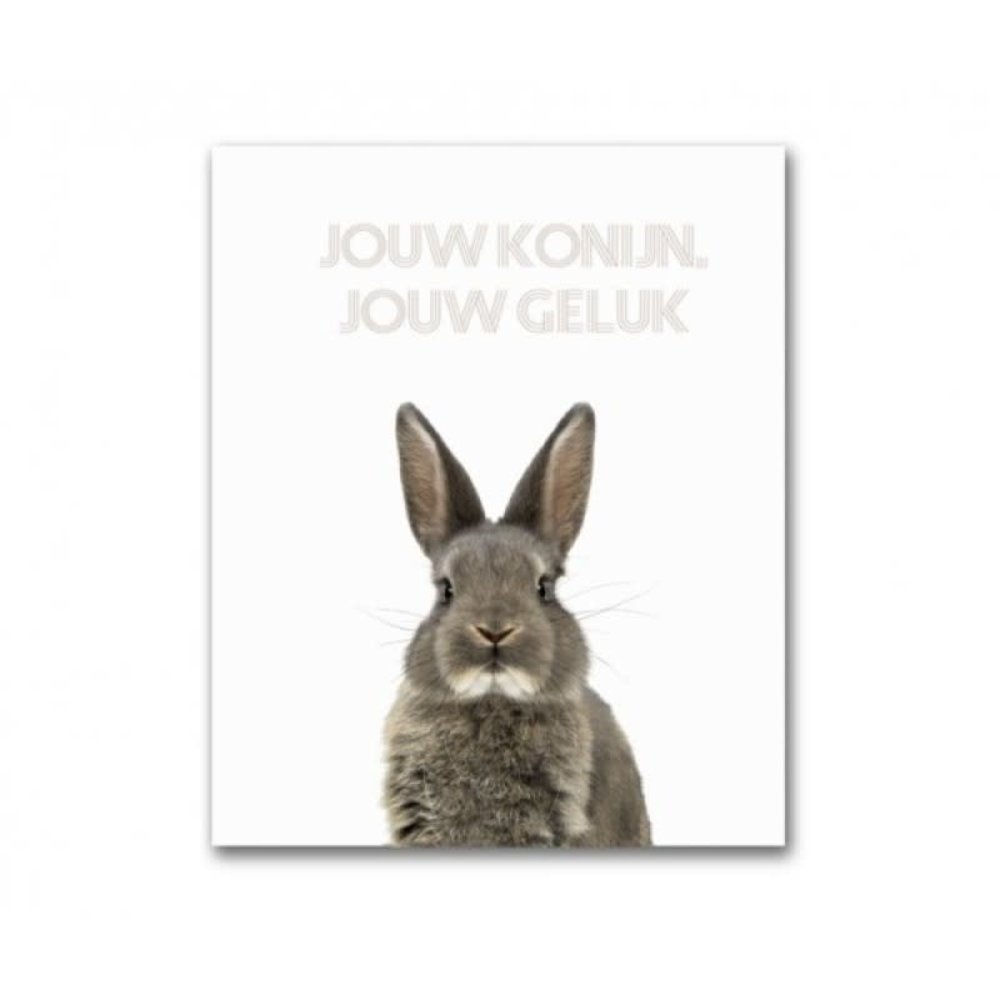 Adori Boek Jouw Konijn - Jouw Geluk Adori Boek Jouw Konijn - Jouw Geluk
