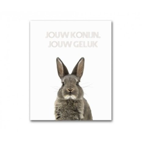 Adori Boek Jouw Konijn - Jouw Geluk Adori Boek Jouw Konijn - Jouw Geluk