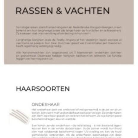 Adori Boek Jouw Konijn - Verzorging Adori Boek Jouw Konijn - Verzorging