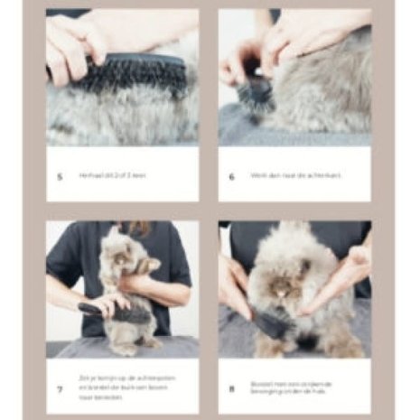 Adori Boek Jouw Konijn - Verzorging Adori Boek Jouw Konijn - Verzorging