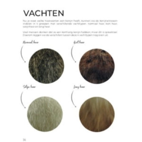 Adori Boek Jouw Konijn - Verzorging Adori Boek Jouw Konijn - Verzorging