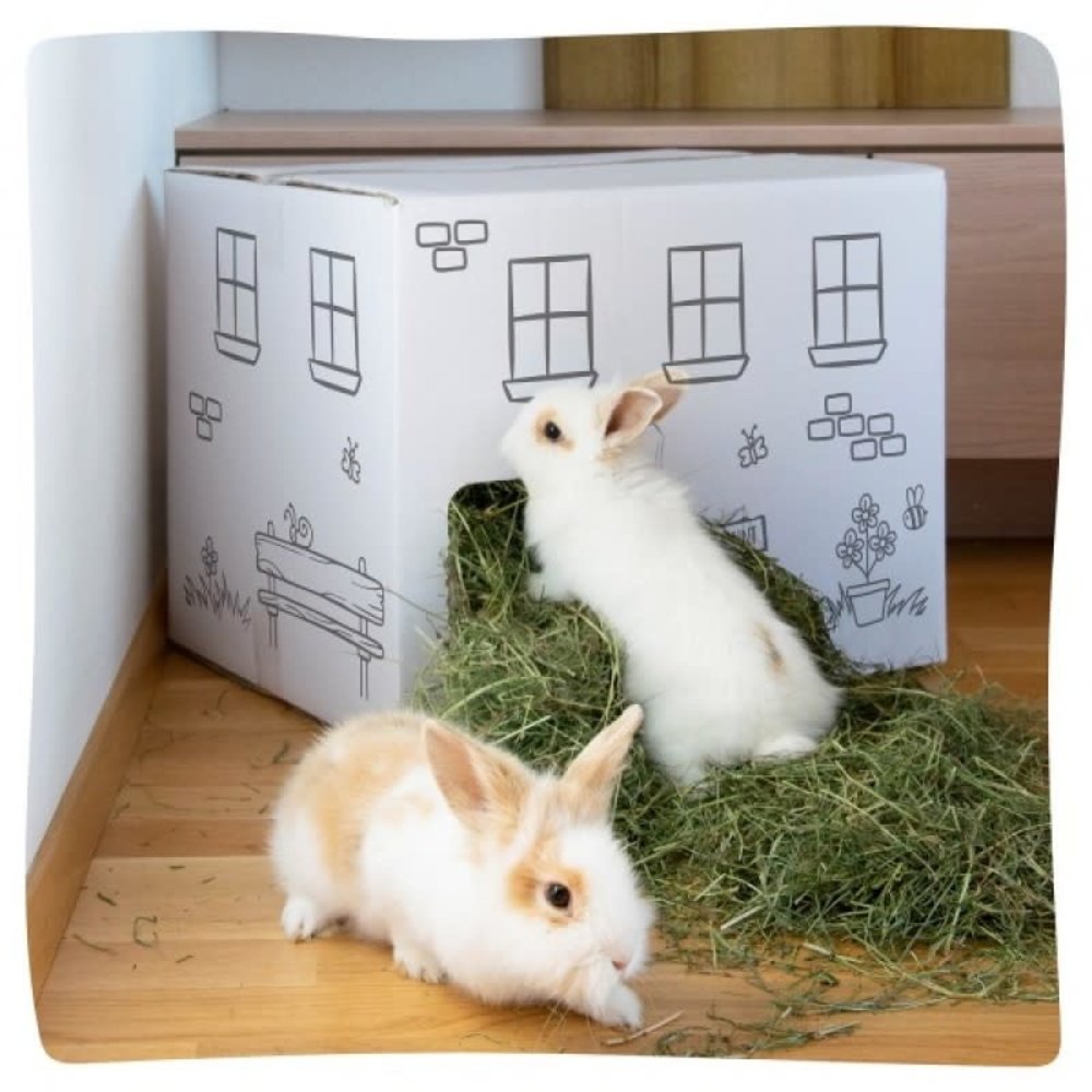 Tiroler hooihuis - 50 x 40 x 40 cm - Circa 6 kilo Premium Oostenrijks Hooi Tiroler hooihuis - 50 x 40 x 40 cm - Circa 6 kilo Premium Oostenrijks Hooi