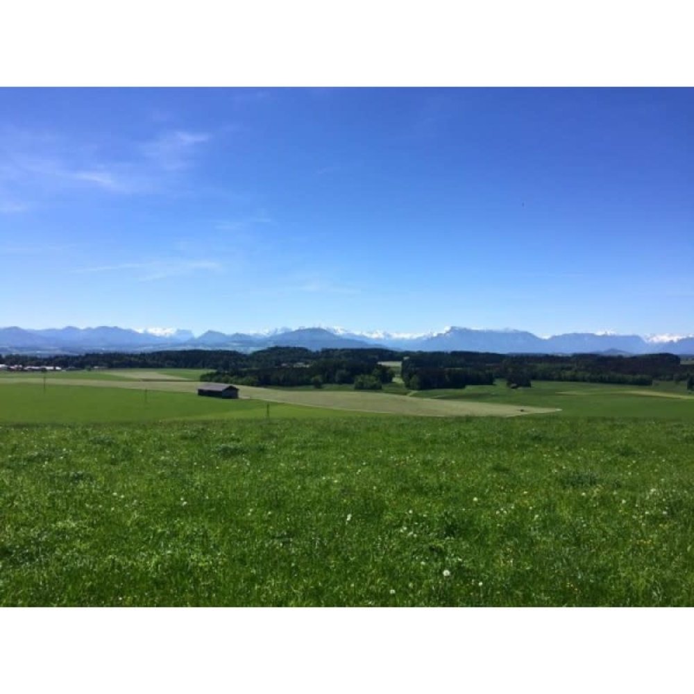 Tiroler hooihuis - 50 x 40 x 40 cm - Circa 6 kilo Premium Oostenrijks Hooi Tiroler hooihuis - 50 x 40 x 40 cm - Circa 6 kilo Premium Oostenrijks Hooi