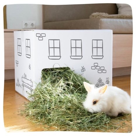 Tiroler hooihuis - 50 x 40 x 40 cm - Circa 6 kilo Premium Oostenrijks Hooi Tiroler hooihuis - 50 x 40 x 40 cm - Circa 6 kilo Premium Oostenrijks Hooi