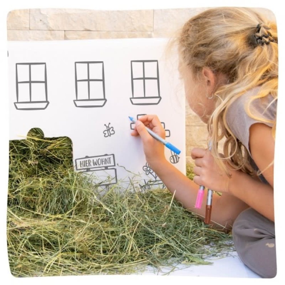 Tiroler hooihuis - 50 x 40 x 40 cm - Circa 6 kilo Premium Oostenrijks Hooi Tiroler hooihuis - 50 x 40 x 40 cm - Circa 6 kilo Premium Oostenrijks Hooi