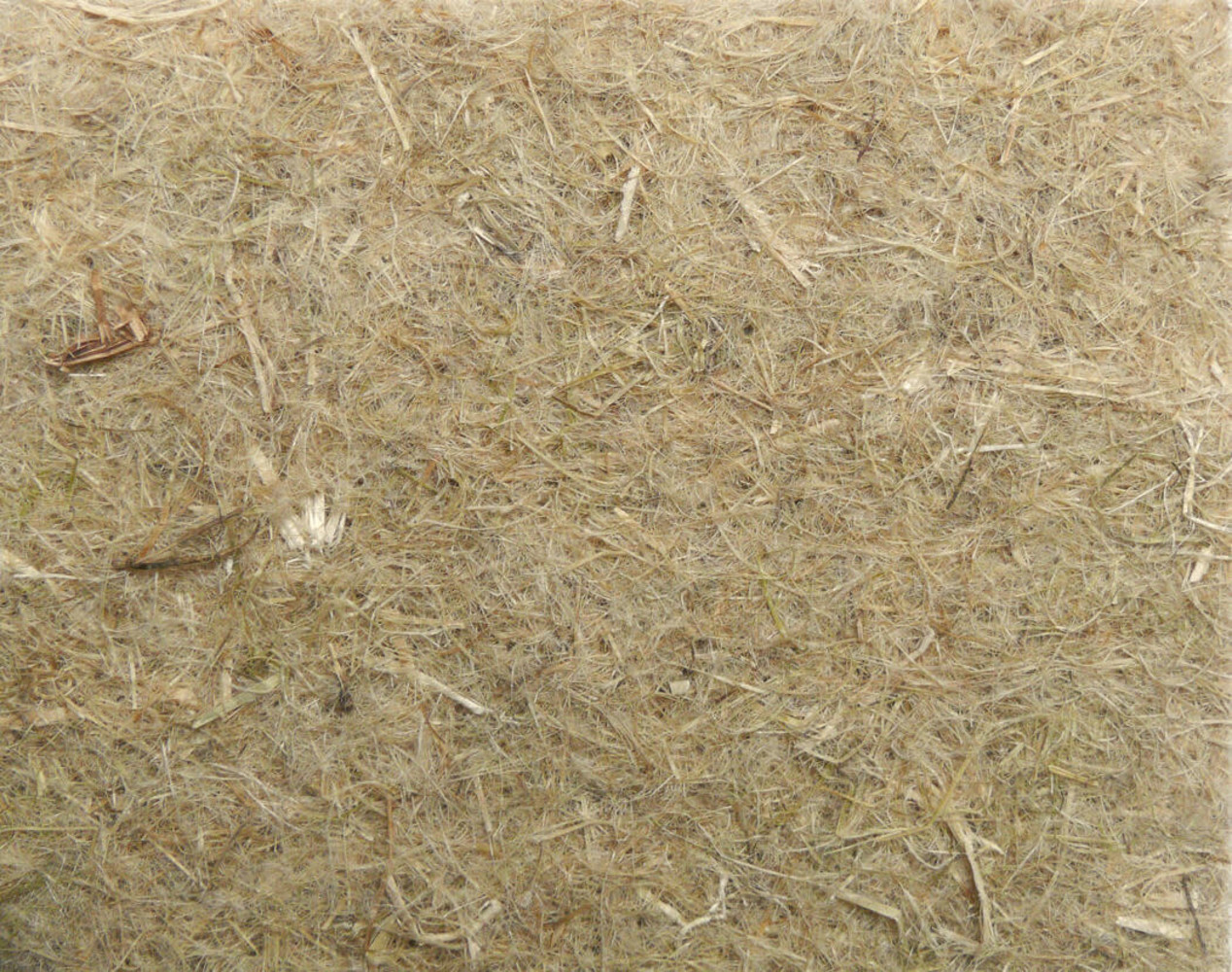 Hugro Hennepvezelmat - 50 x 120 cm Hugro Hennepvezelmat - 50 x 120 cm