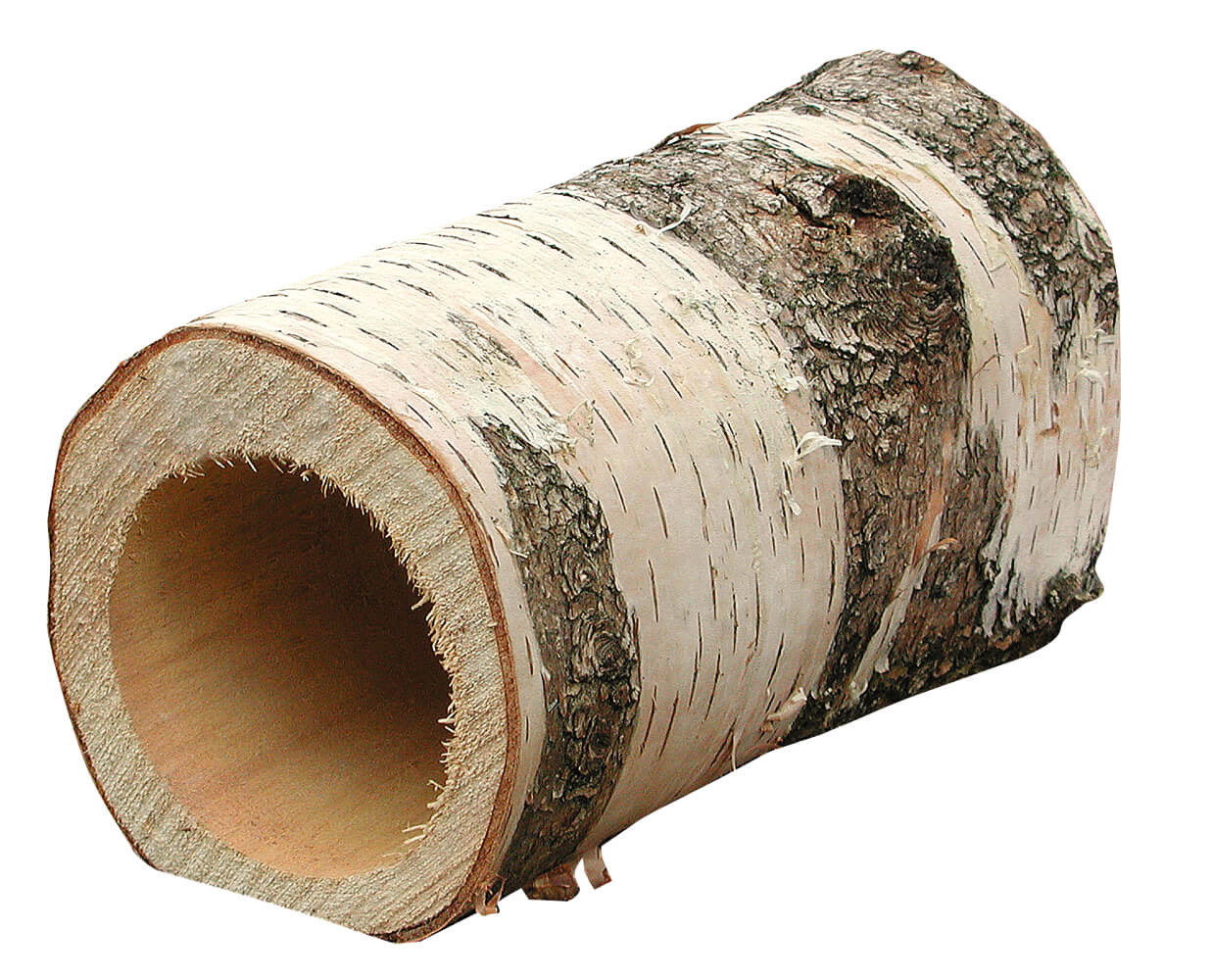 Hugro Berkentunnel 23 cm - opening 10 cm Hugro Berkentunnel 23 cm - opening 10 cm