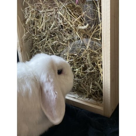 Houten hooiruif - handgemaakt in Nederland Houten hooiruif - handgemaakt in Nederland