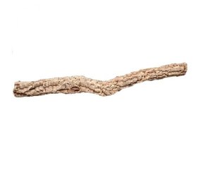 Kurk stam - boomstronk - 50 cm Kurk stam - boomstronk - 50 cm