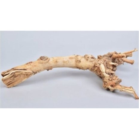 Boomstronk Naturel - 53 x 5 x 18 cm Boomstronk Naturel - 53 x 5 x 18 cm