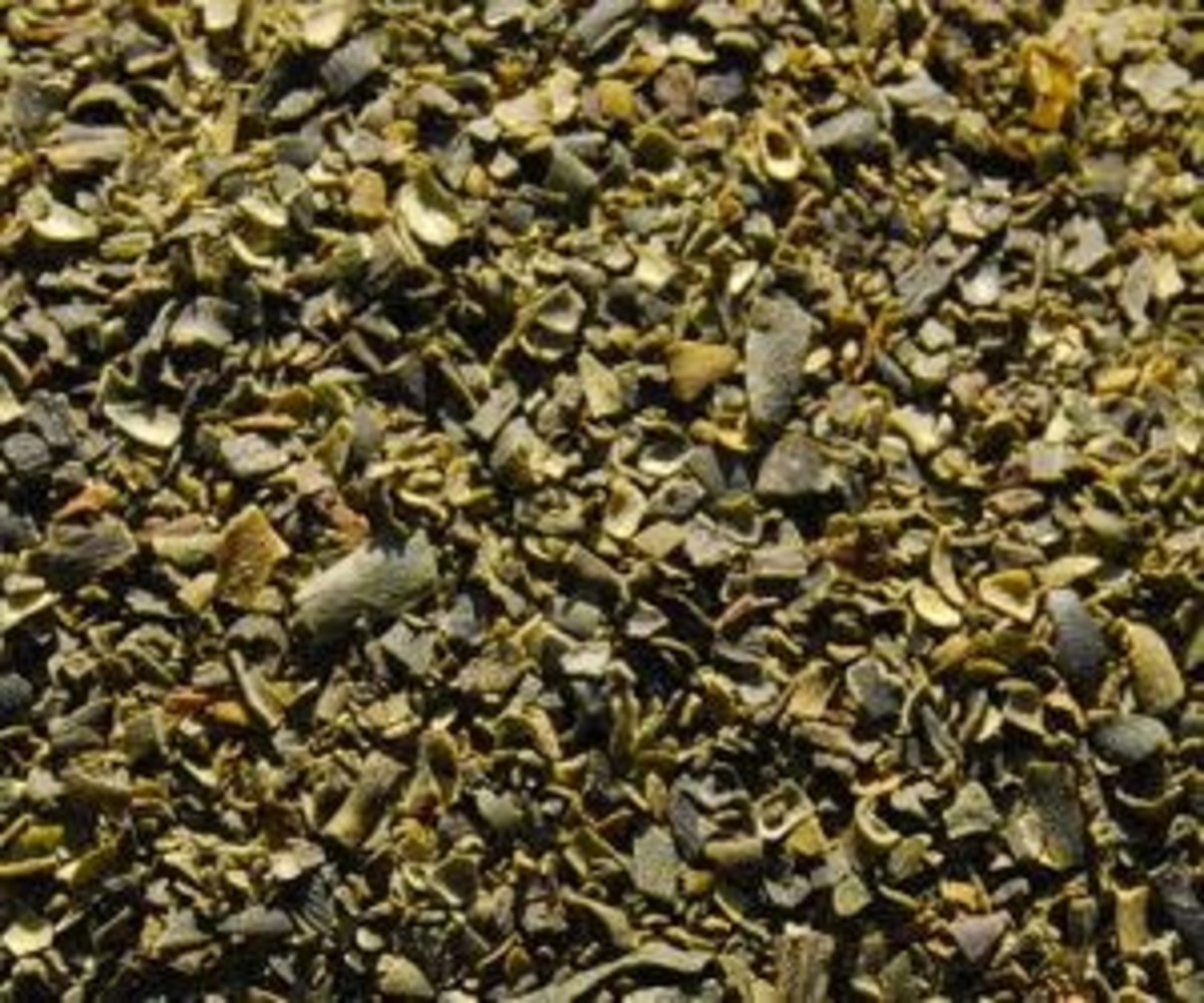 Natuly (voorheen Bio-Ron) Bio-Ron IJslands zeewier Natuly (voorheen Bio-Ron) Bio-Ron IJslands zeewier