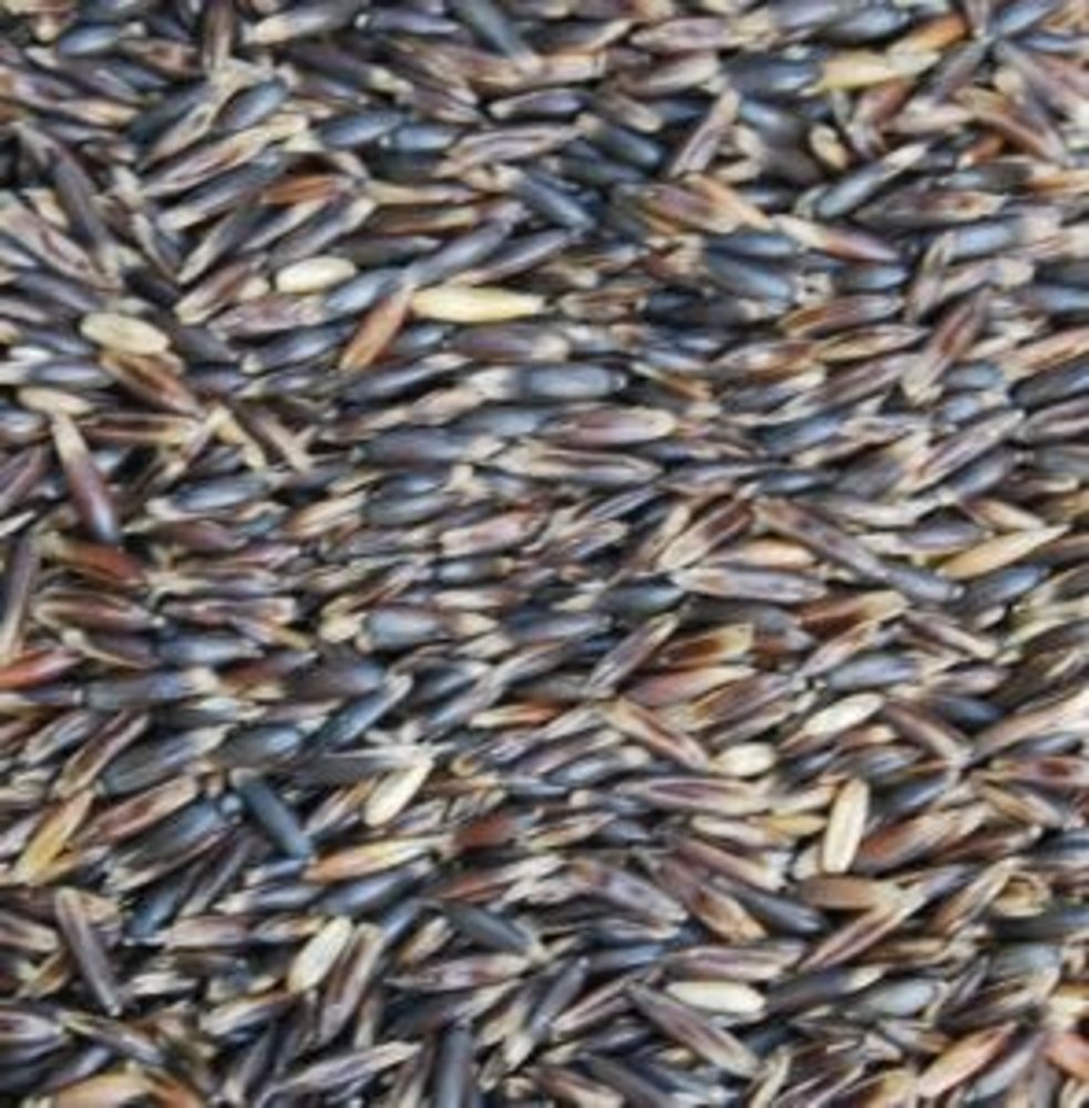 Natuly (voorheen Bio-Ron) Natuly Biologische Zwarte Haver - 4 kilo Natuly (voorheen Bio-Ron) Natuly Biologische Zwarte Haver - 4 kilo