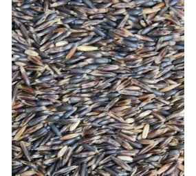 Natuly (voorheen Bio-Ron) Bio-Ron Biologische Zwarte Haver - 4 kilo Natuly (voorheen Bio-Ron) Bio-Ron Biologische Zwarte Haver - 4 kilo