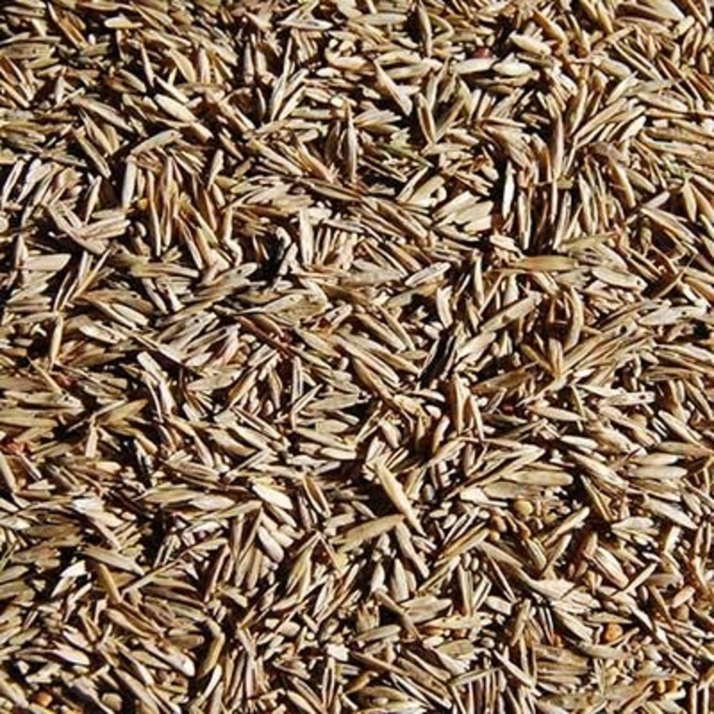 Natuly (voorheen Bio-Ron) Bio-Ron Graszaad mengsel 2 - 0.5 kilo Natuly (voorheen Bio-Ron) Bio-Ron Graszaad mengsel 2 - 0.5 kilo