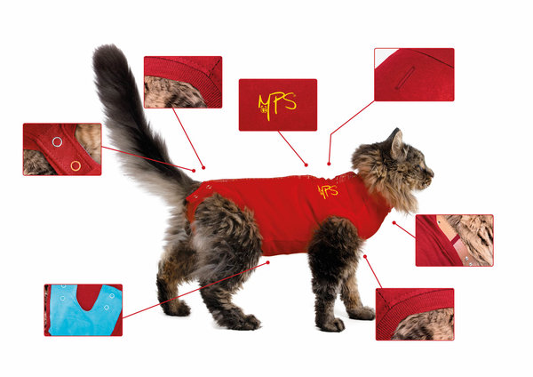 Bourgondië borstel presentatie Medical Pet Shirt Kat - 1 stuk - D-tails