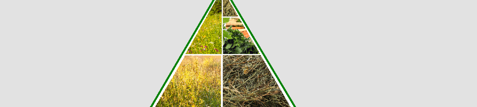 Eten jouw konijnen gezond?