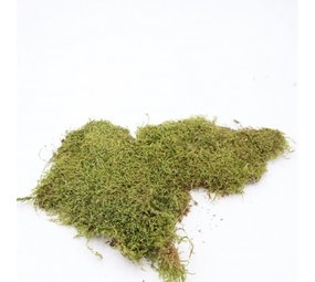 Herbimals Herbimals Mos Herbimals Herbimals Mos