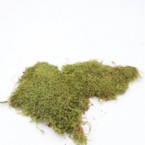 Herbimals Herbimals Mos Herbimals Herbimals Mos